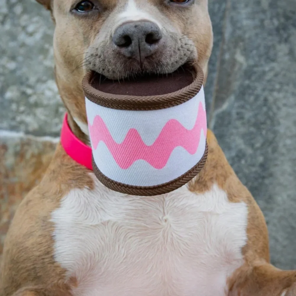 BarkBox SuperChew Ice cream Sandwich